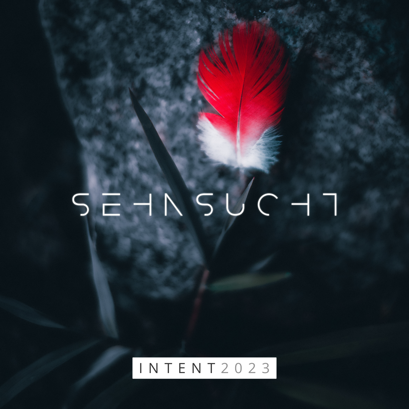 Various Artists – INTENT 2023: Sehnsucht