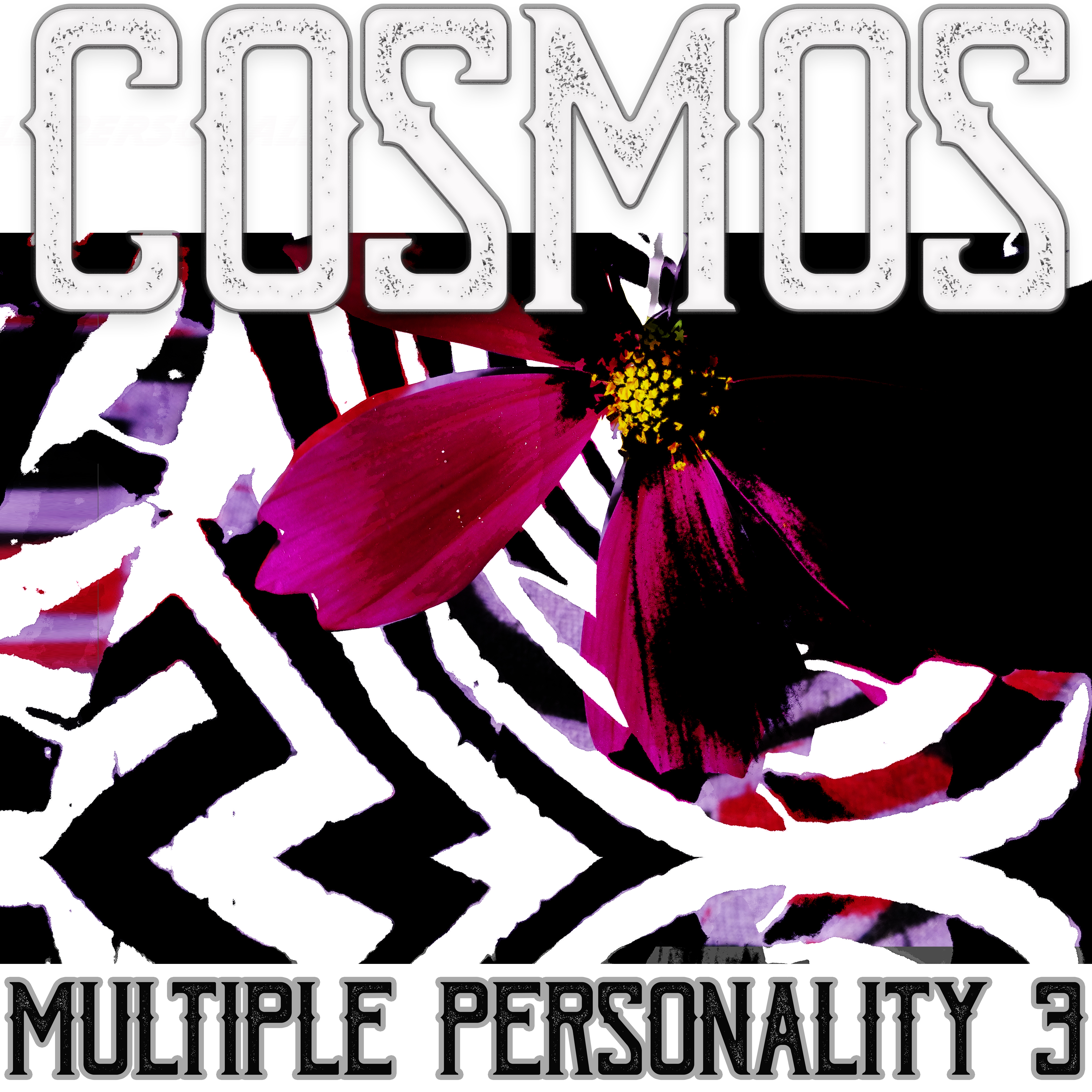 Multiple Personality 3 – COSMOS