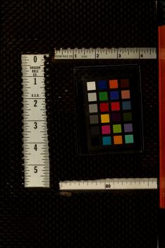 Thumbnail image of a page from Natural color film : what it is and how to use it