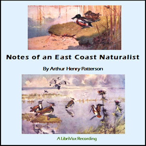 Notes of An East Coast Naturalist