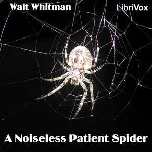 Noiseless Patient Spider