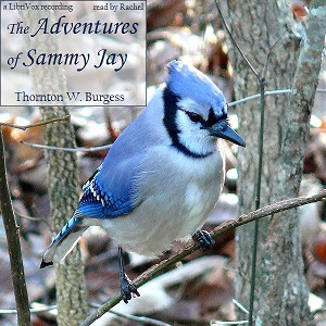 The Adventures of Sammy JayThere's nothing that sly troublemaker Sammy Jay likes better than stealing corn -unless it's playing tricks on the other animals in the forest.