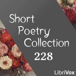 Short Poetry Collection 228 cover