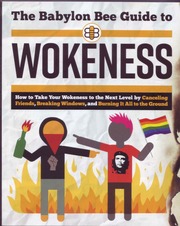 2021 TBB Guide To Wokeness