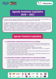 440428306-Agenda-Legislativa-Feminista.pdf