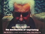Animal Behavior : The Mechanism of Imprinting