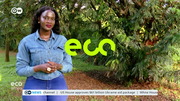 Eco Africa : DW : April 22, 2024 12:30pm-1:00pm CEST
