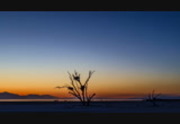 Days And Nights At The Salton Sea