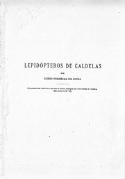 Lepidópteros de Caldelas