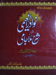 Nawadarun Naeemi Bahal Sharah Mulla Jami.pdf