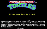 DOSBox: Teenage Mutant Hero Turtles (EGA and PC Speaker) : Konami : Free Download, Borrow, and Streaming : Internet Archive