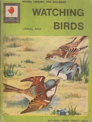 Watching Birds by Jamal Ara