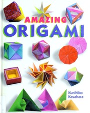 Cover of edition amazingorigami00kuni