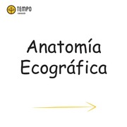 Anatomia Ecográfica