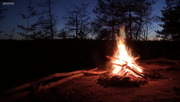 Campfire Relaxing Kamp Ateşi