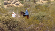 McDowell Sonoran Preserve Trail Etiquette
