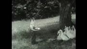 De Longe Vinha Um Pato (1934)