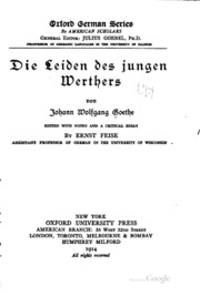 Cover of edition dieleidendesjun00feisgoog