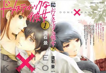 Domestic Na Kanojo Manga (Volumes 1-19) : Kei Sasuga : Free Download,  Borrow, and Streaming : Internet Archive