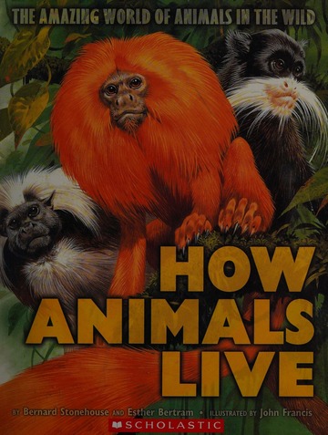 How animals live : the amazing world of animals in the wild : Stonehouse,  Bernard : Free Download, Borrow, and Streaming : Internet Archive