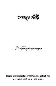 2015.453831.Ponur-Chithi.pdf