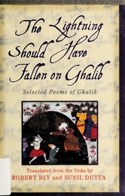 Cover of edition lightningshouldh00ghal