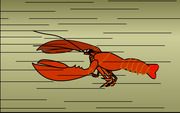nitrogen Aflede At redigere Lobster Magnet : Ben Apgar : Free Download, Borrow, and Streaming :  Internet Archive