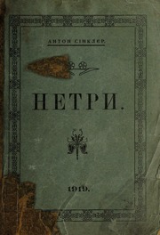 Cover of edition netry00sinc