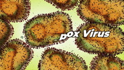 PSA: Monkeypox