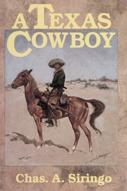 Cover of edition texascowboy00chas