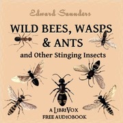 Wild Bees Wasps And Ants And Other Stinging Insects