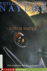 Cover of edition witchwater00phyl
