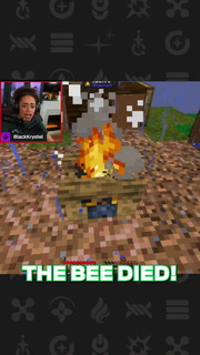 Streamers kill EVERYTHING in Minecraft #shorts